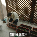 basil070512.jpg
