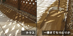 haruitiban_080225_3.jpg