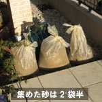haruitiban_080225_4.jpg