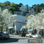 sf0311_009.jpg