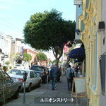 sf_001.jpg