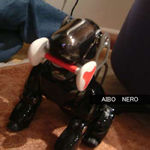 sf_007.jpg