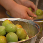 umeshu2007_2.jpg