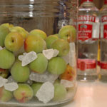 umeshu2007_3.jpg