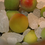 umeshu2007_4.jpg