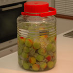 umeshu2007_5.jpg